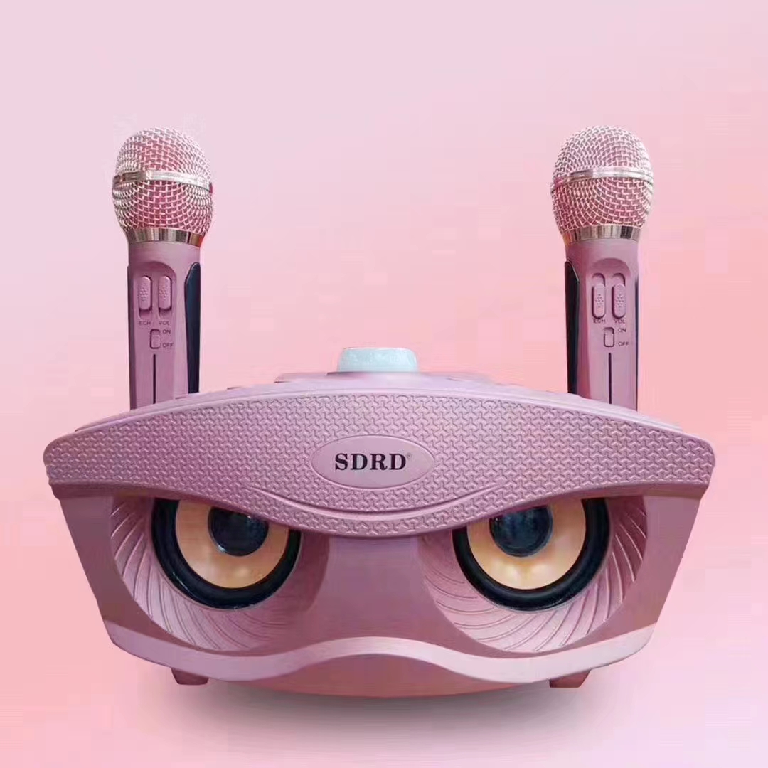 Dual Mic Karaoke Speaker - Image 3