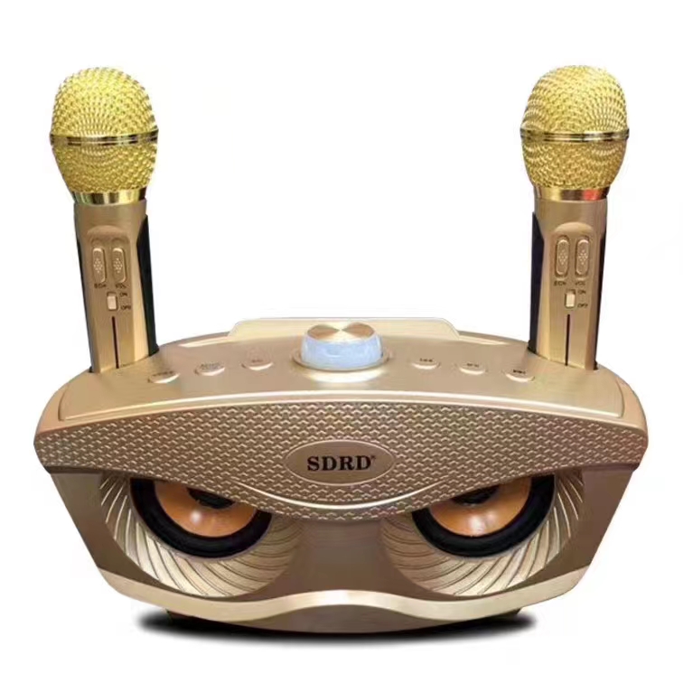 Dual Mic Karaoke Speaker - Image 2