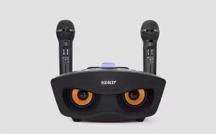 Dual Mic Karaoke Speaker